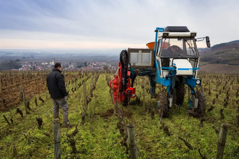 Plantation mécanique à Savigny-lès-Beaune