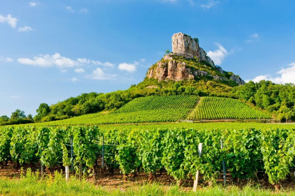 bourgogne
