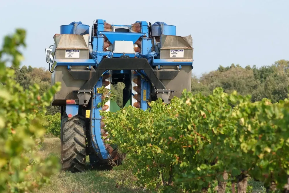 machine pour vigne